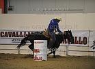 Lauria Michele_Hostlers Rooster